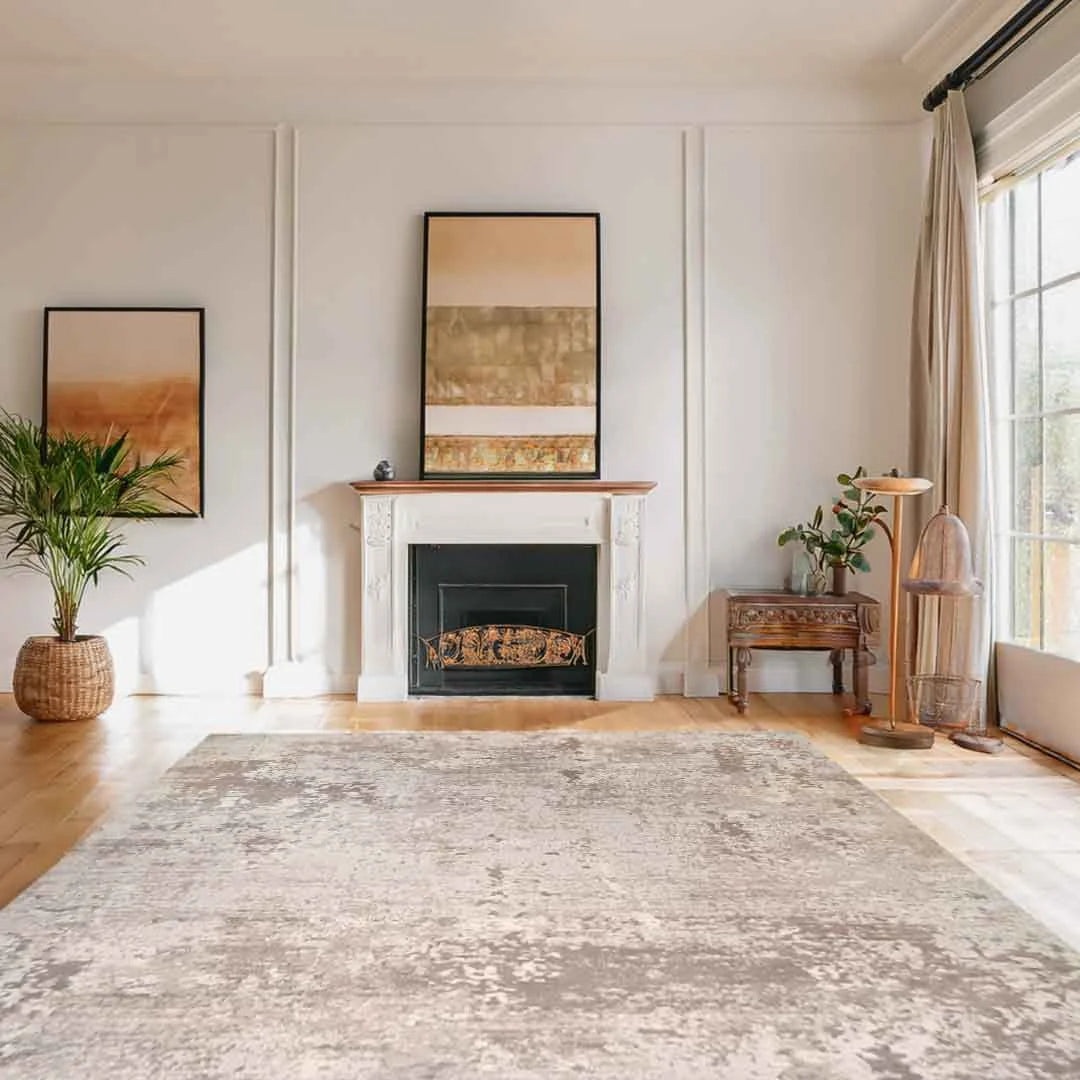 Lorenz Cozy Neutral Beige Texture Rug