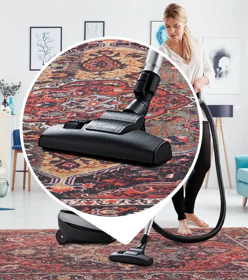 Elegance Persian Rug - Aladdinrugs